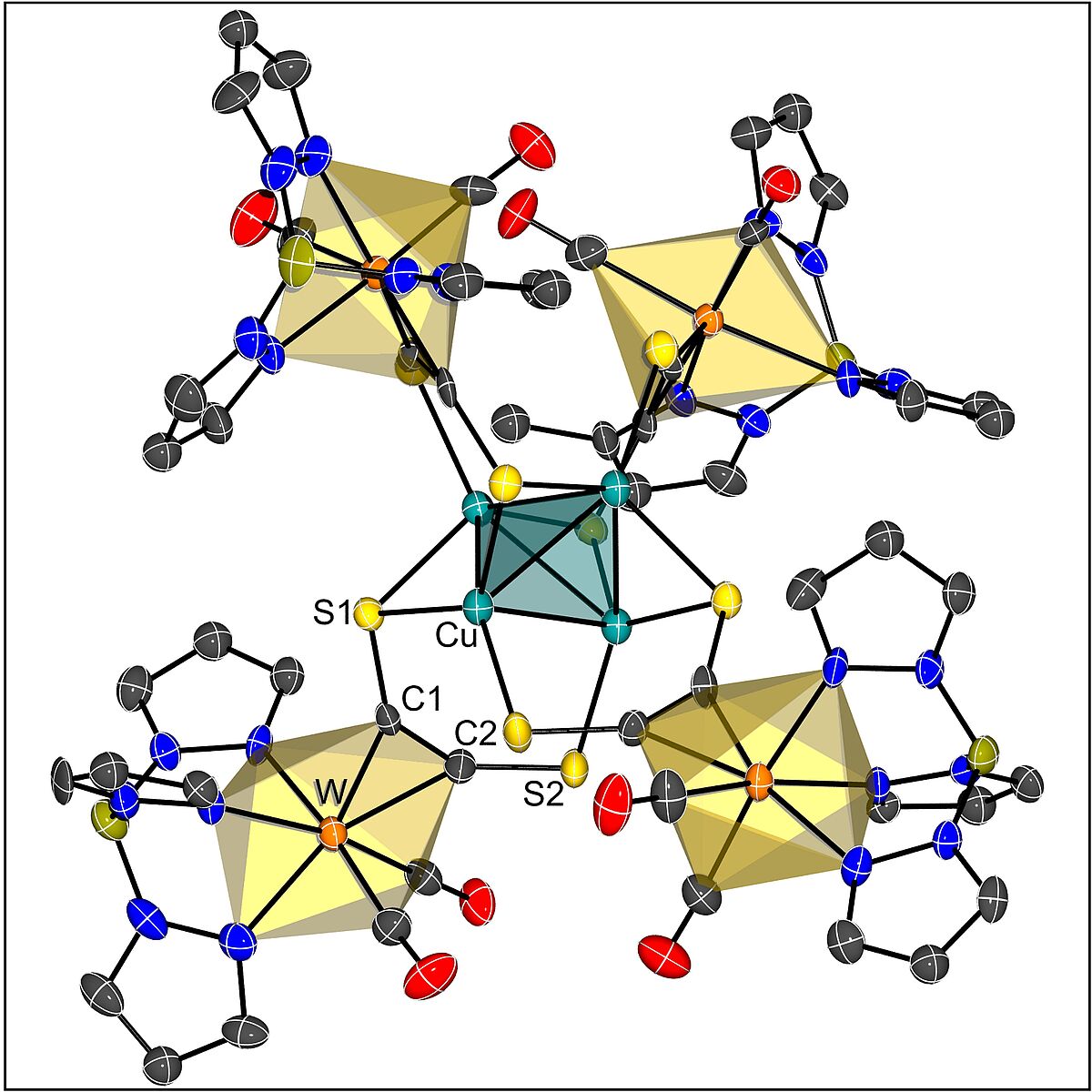 Donor-substituted Alkyne Complexes